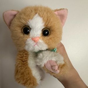DSI kitty kitty kitten “Tawny” plush cat